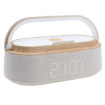 ŞAKAYIK BLUETOOTH HOPARLÖR