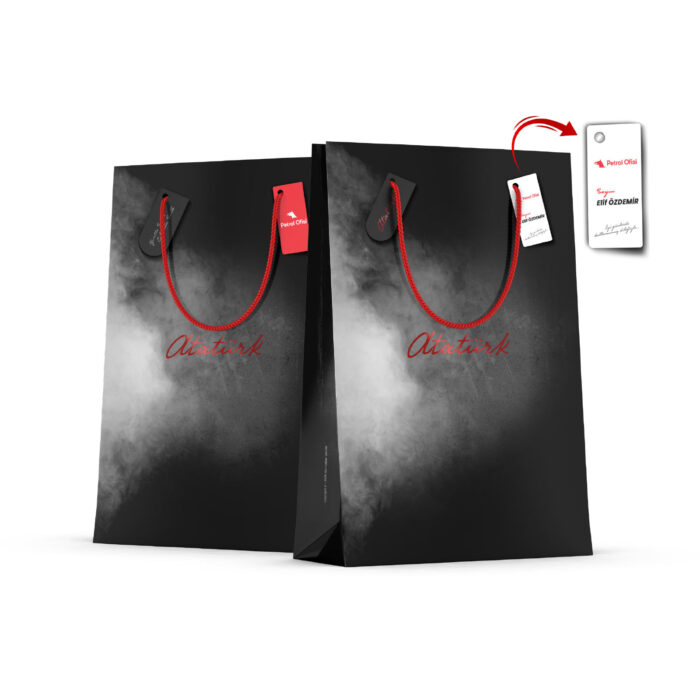 ala-43-001 ALA-43 BÜYÜK BOY DİKEY KARTON ÇANTA - Görsel 1