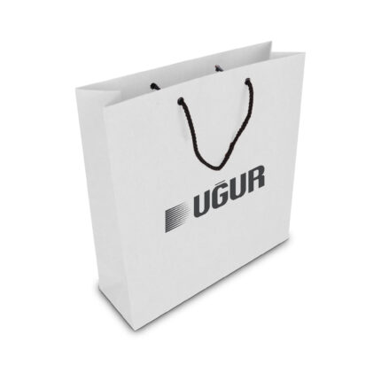 ALA-56 KÜÇÜK BOY KARTON ÇANTA(24x25.5x8,5 cm)