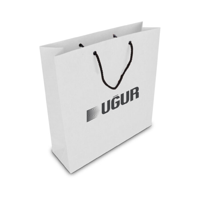 ala-56-001 ALA-56 KÜÇÜK BOY KARTON ÇANTA(24x25.5x8,5 cm) - Görsel 1